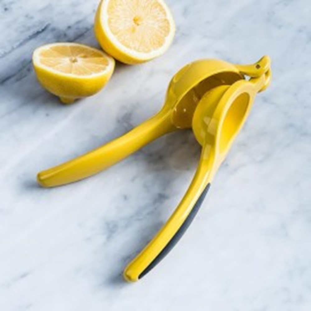 PRESSE CITRON A MAIN